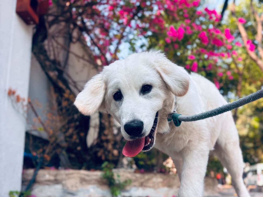 Tắm tại nhà