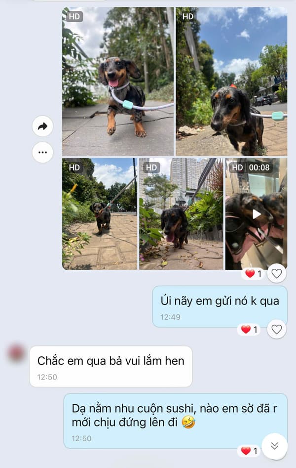 Tin nhắn khách hàng 3