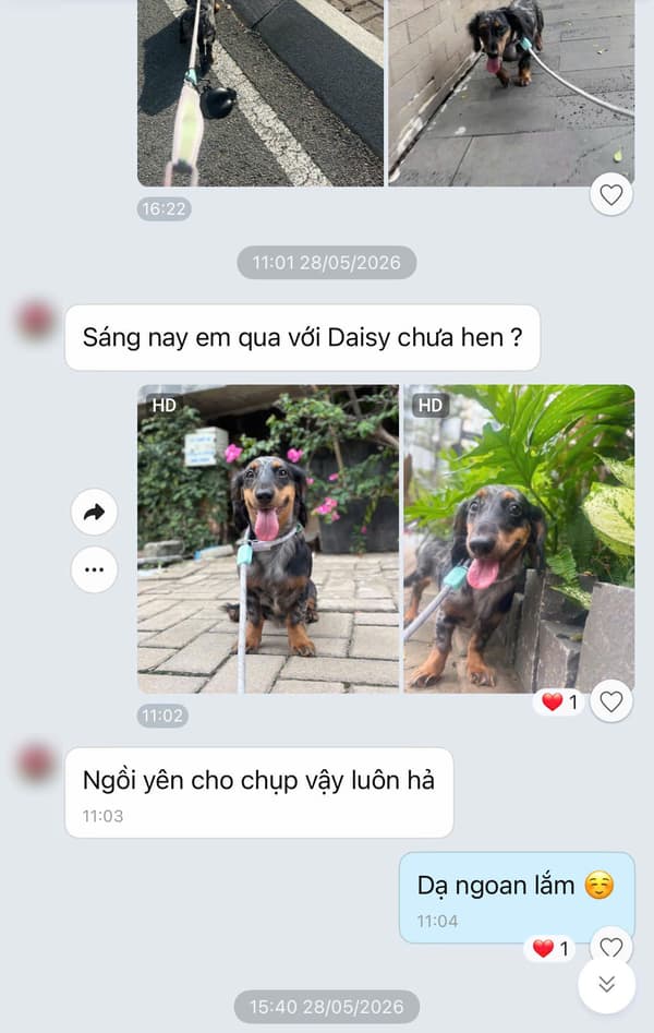 Tin nhắn khách hàng 4