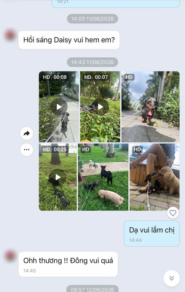 Tin nhắn khách hàng 5