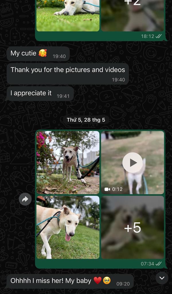 Tin nhắn khách hàng 6