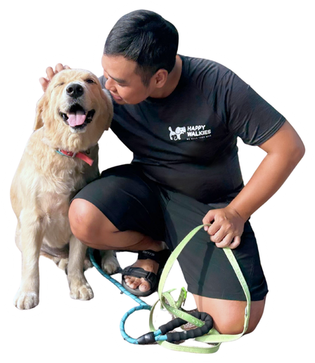 Nhân viên Happy Walkies ôm một chú Golden Retriever