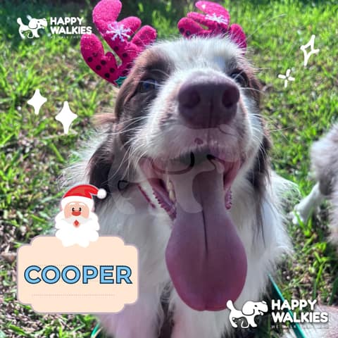 Happy Walkies 18