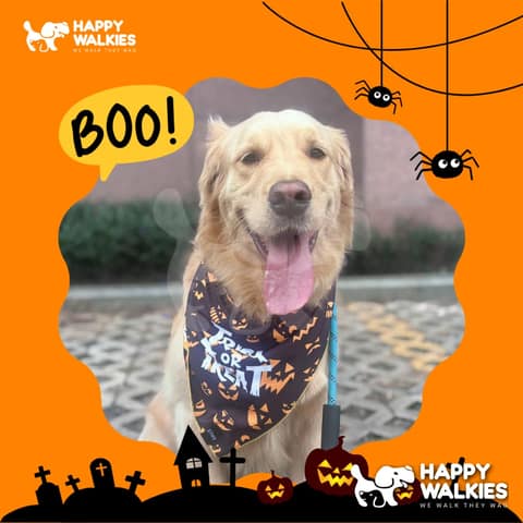 Happy Walkies 33