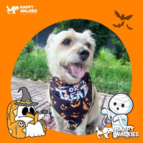 Happy Walkies 34