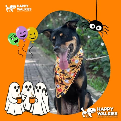 Happy Walkies 35