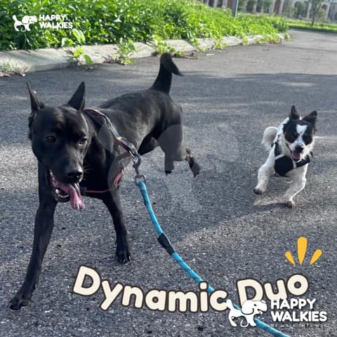 Happy Walkies 39