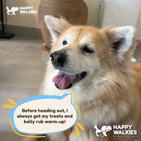 Happy Walkies 44