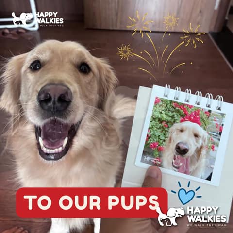 Happy Walkies 20