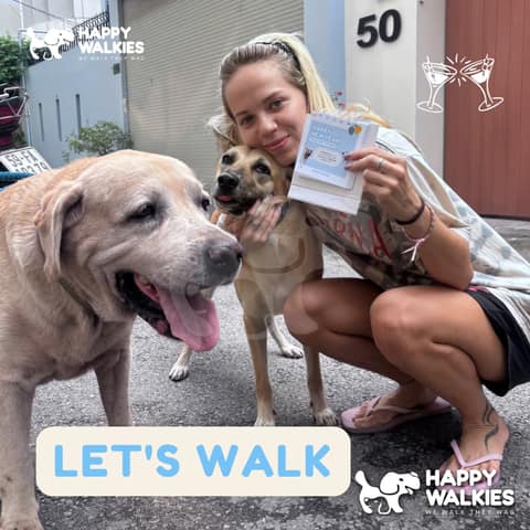 Happy Walkies 21