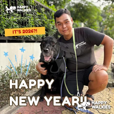 Happy Walkies 24